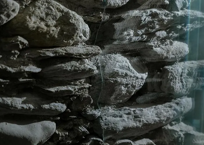 Apartment Grotta Balzer *